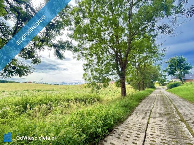 Duża działka 6000 m² w Demlinie – spokój, natura i szybki dojazd do miasta