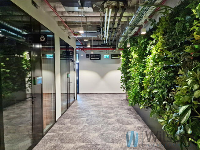 Lokal użytkowy Warszawa gm. Wola Wola, Żelazna