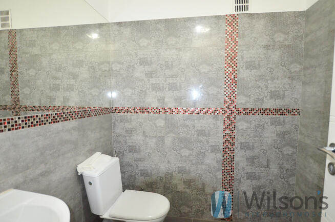 Lokal użytkowy Łomianki, Centralne