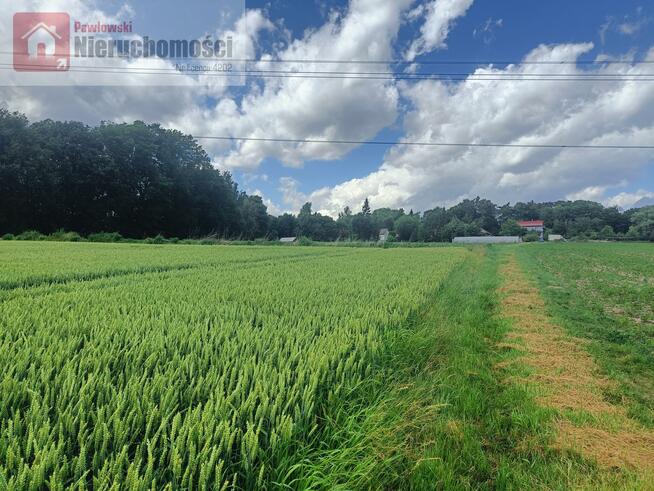 Działka rolna Kossowa gm. Brzeźnica