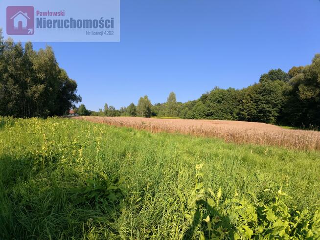 Działka siedliskowa Nowe Dwory gm. Brzeźnica