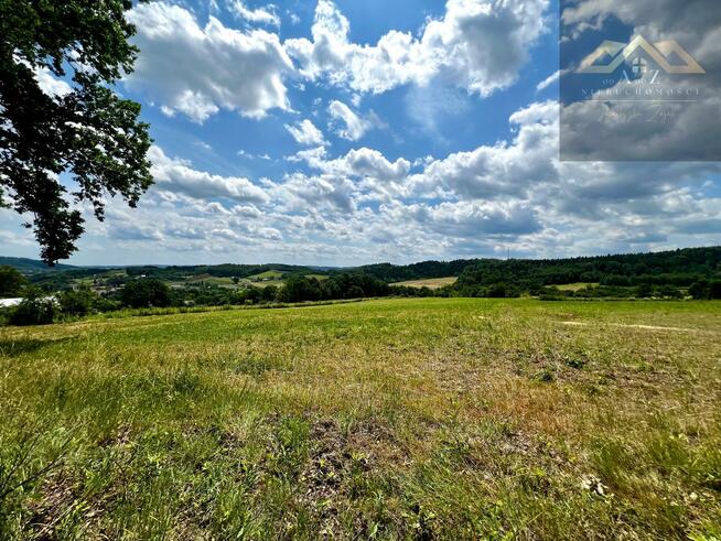 Działka leśna Olszyny gm. Wojnicz