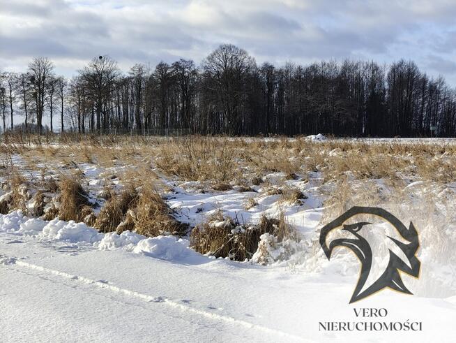 Rachunki ? Zaginęły w lesie