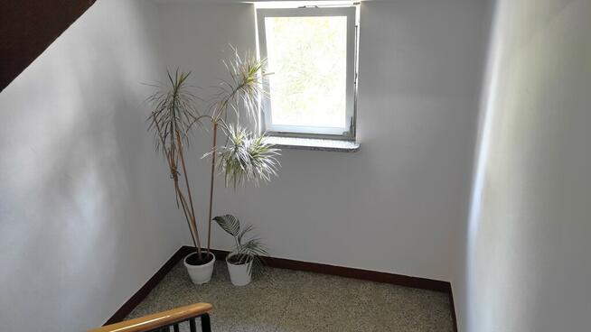 Klimatyczne 3 pokoje gotowe do wprowadzenia