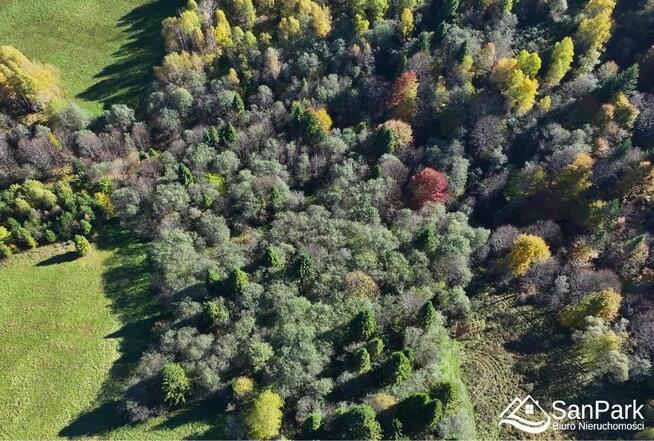 Działka rolna Krzywe gm. Cisna