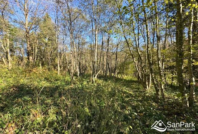 Działka rolna Krzywe gm. Cisna