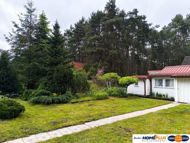 Cicha działka z domkiem w otulinie lasu koło rzeki