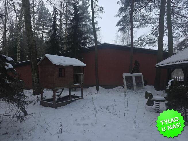 Działka leśna Kopana gm. Tarczyn