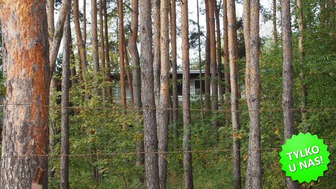 Działka leśna Kopana gm. Tarczyn