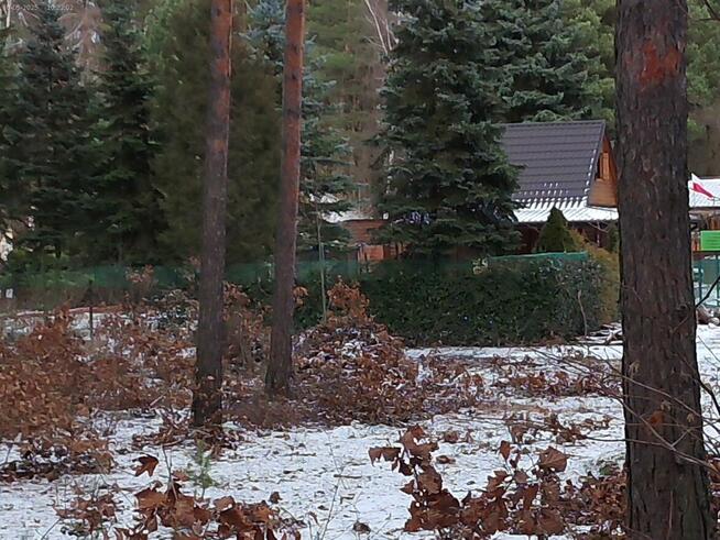 Leśno -budowlaną sprzedam