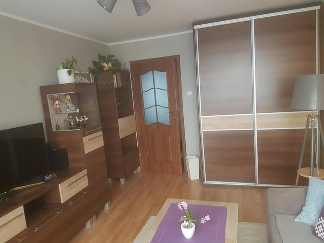 Wynajmę mieszkanie w Centrum