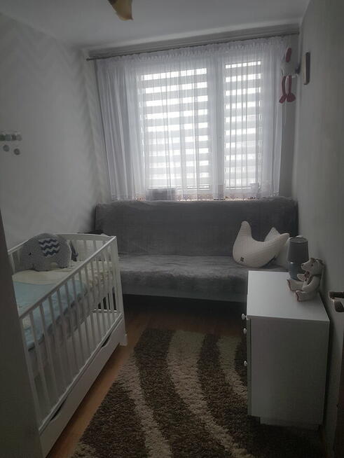 Wynajmę mieszkanie w Centrum