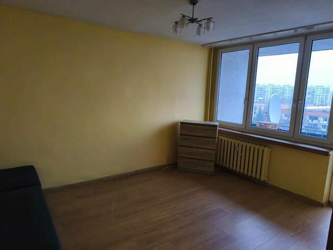 mieszkanie do wynajęcia