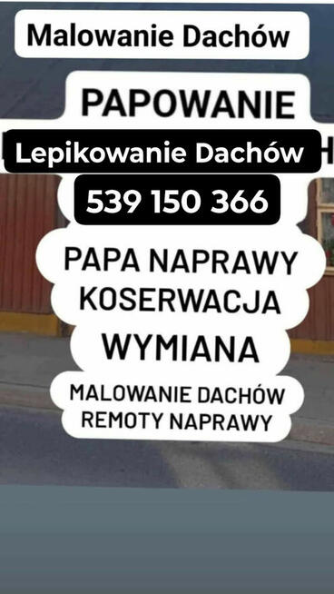 Malowanie Dachów Wszelkie REMONTY Naprawy