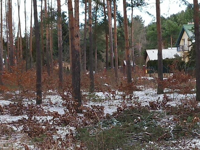 Leśno -budowlaną sprzedam