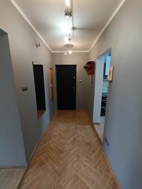 Mieszkanie do wynajecia