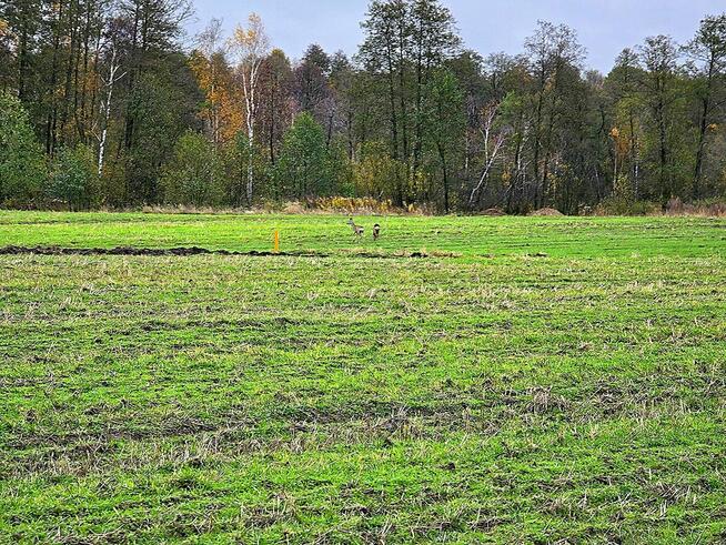Działki budowlane Serock, 1,5 km od jeziora Firlej