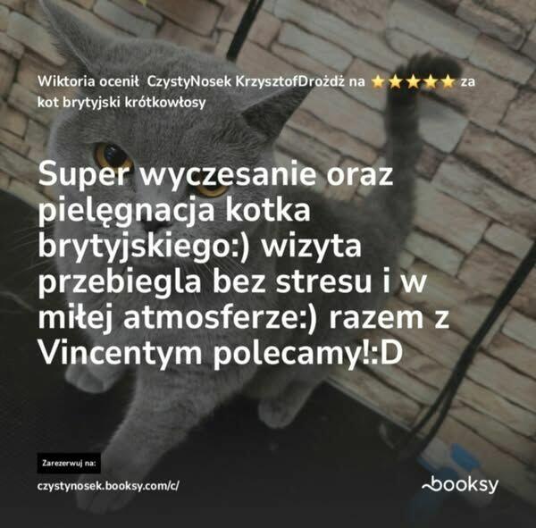 SPA dla psów / kotów