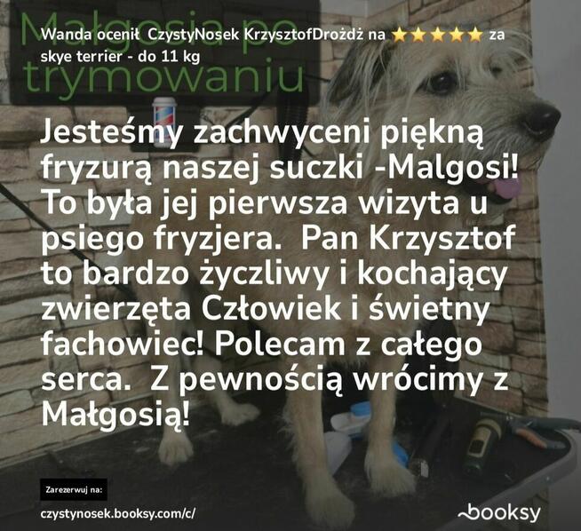 SPA dla psów / kotów