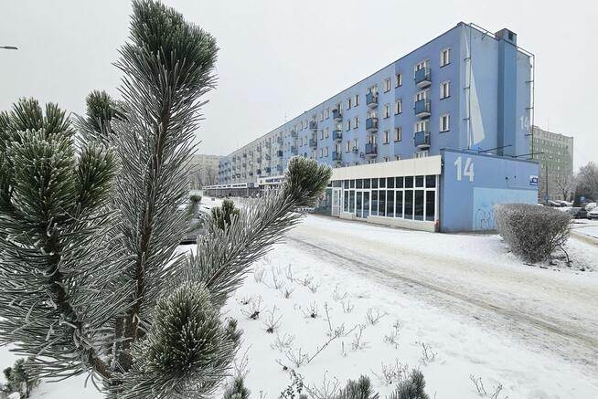 Płock, mieszkanie 3 pokojowe, po remoncie, os. Tysiąclecia.