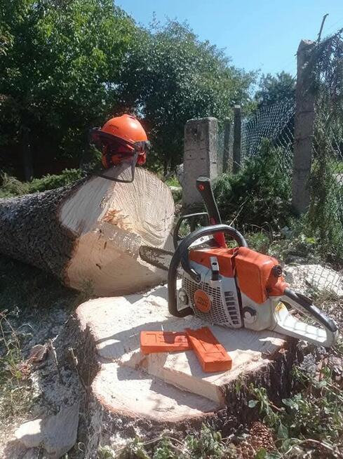 Wycinka drzew, frezowanie pni, karczowanie działek