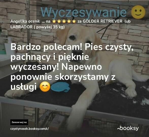 SPA dla psów / kotów