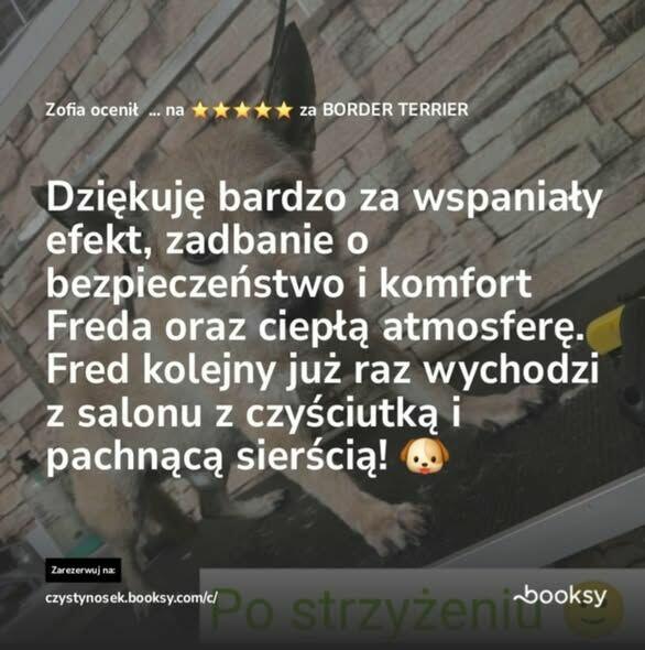SPA dla psów / kotów