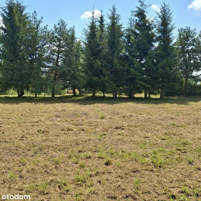 Sprzedam Dom NA Działce Około 1H