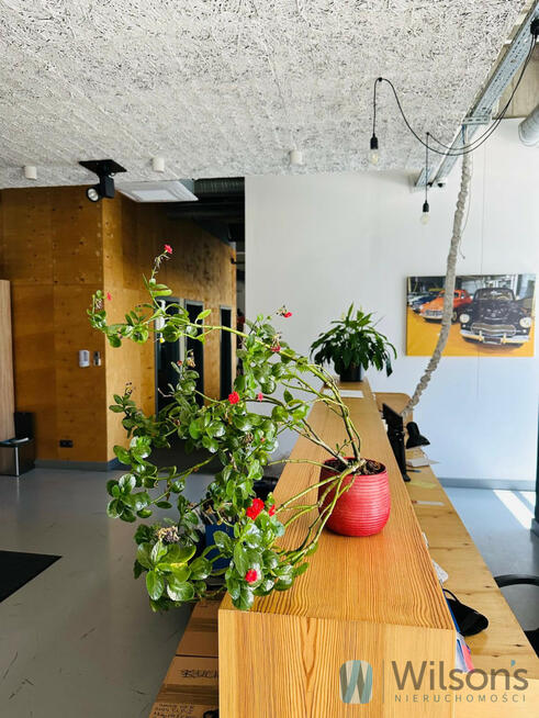 Lokal użytkowy Warszawa gm. Praga-Północ Praga,-Północ, Jagiellońska