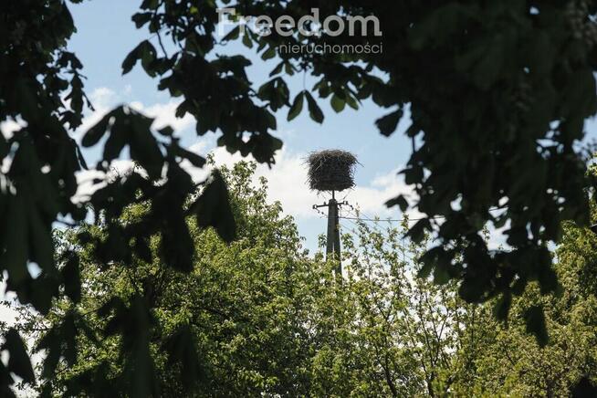 ATRAKCYJNA CENA UROKLIWEGO SIEDLISKA - SOKOLIGÓRA