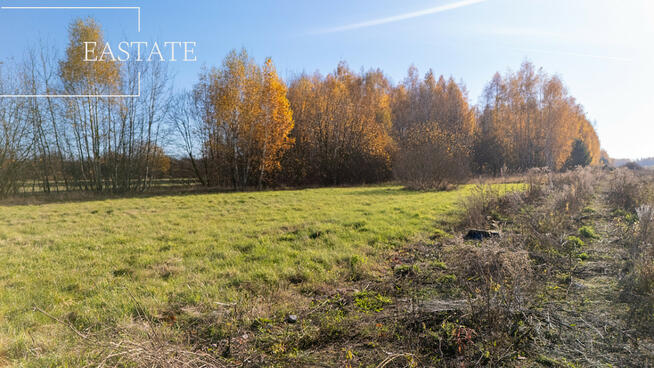Działka budowlana Kaleń gm. Żabia Wola, Długa