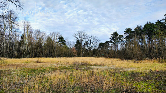 Działka budowlana Mariańskie Porzecze gm. Wilga,