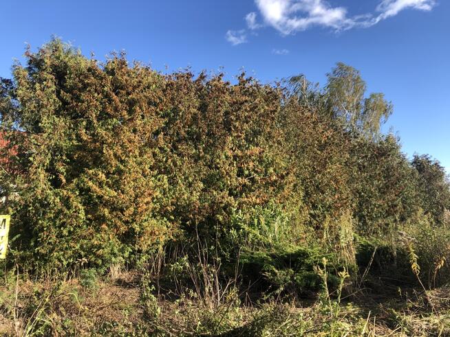 Atrakcyjna działka budowlana Dys