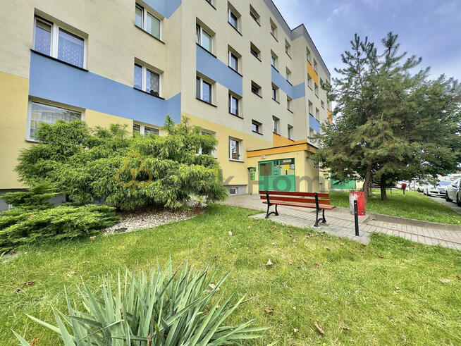 Mieszkanie Głogów,