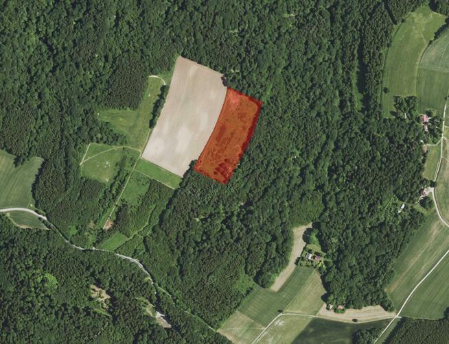 Działka rolna Nowa Wieś gm. Czudec