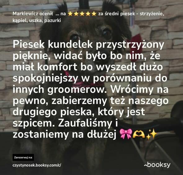 SPA dla psów / kotów