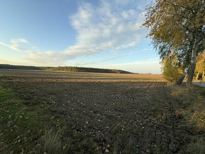 OFERTA SPRZEDAŻY LUB DŁUGOTERMINOWEJ DZIERŻAWY ŻWIROWNI