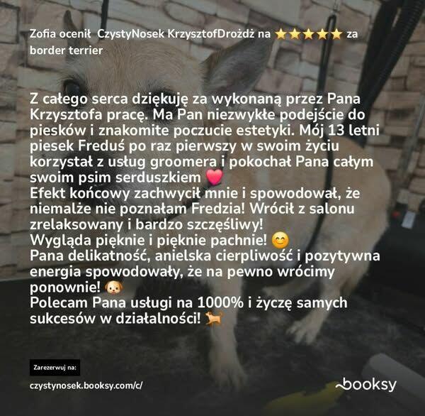 SPA dla psów / kotów