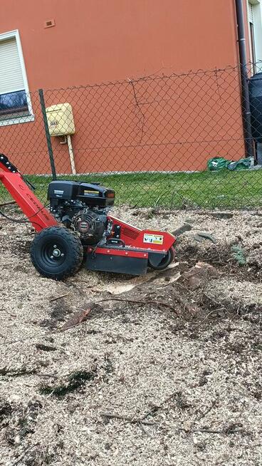 Wycinka drzew, frezowanie pni, karczowanie działek
