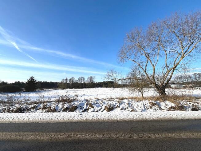 Działka Łążyn, gm. Zławieś Wielka