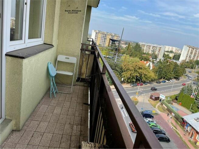 Do wynajęcia mieszkanie dwu pokojowe