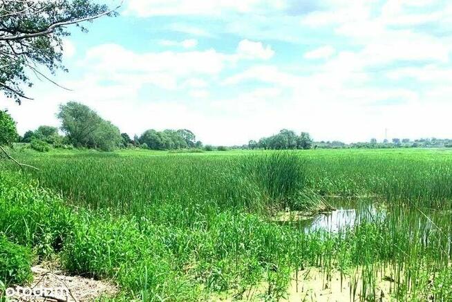 Relaks nad Bugiem/Piękny widok/Zalew