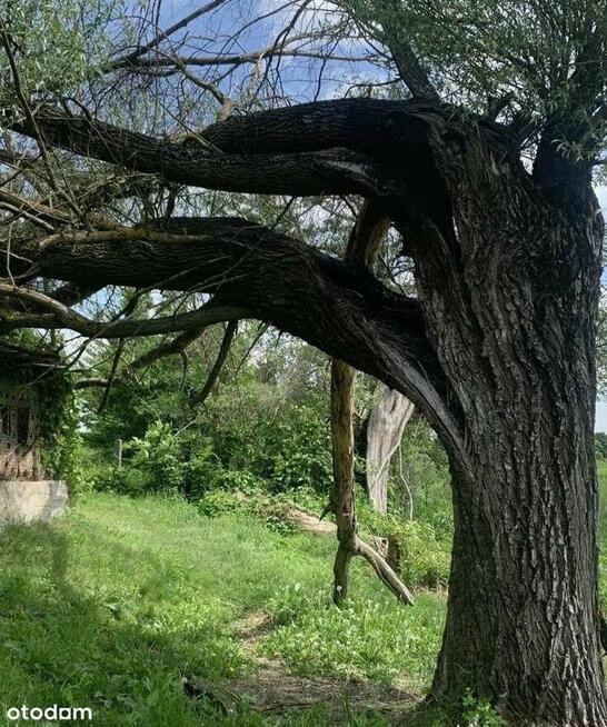 Relaks nad Bugiem/Piękny widok/Zalew