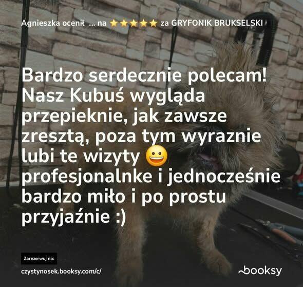 SPA dla psów / kotów