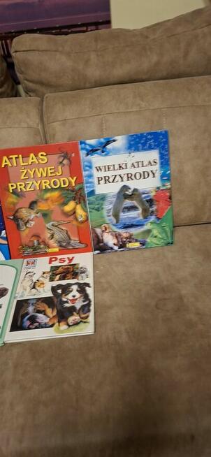Książki dla dzieci przyrodnicze i bajkowe