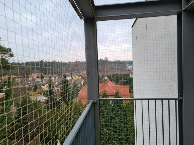 Siatka dla kotów na balkon Zielona Góra I okolice