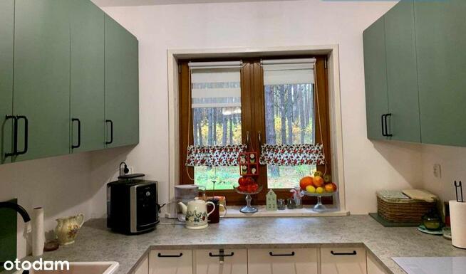 Nowy/Całoroczny domek/Las/Rzeka