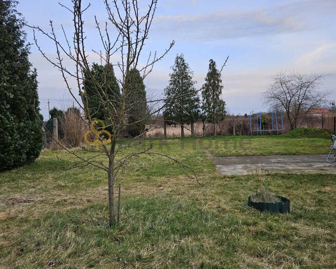 Mieszkanie Szprotawa,