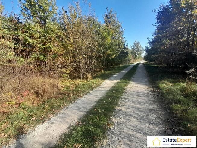 Działka budowlana Dębska Wola