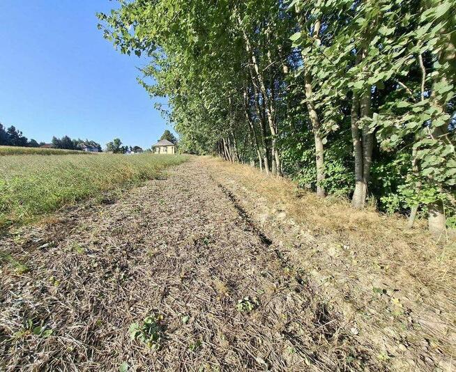 Działka budowlana Głębowice gm. Osiek, Oświęcimska